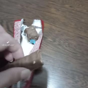 30.09.2026 Tarihinde BİM Marketten Almış Olduğum 30 Gram Tadelle