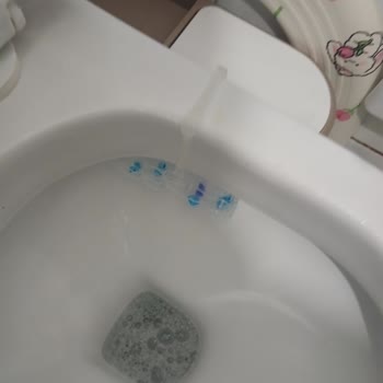 Domestos Klozet Koku Gidericisi İki Günde Erip Bitiyor