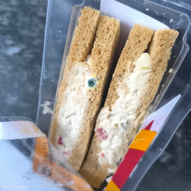 MR. No Sandviçlerinde Mavi Küf Sorunu