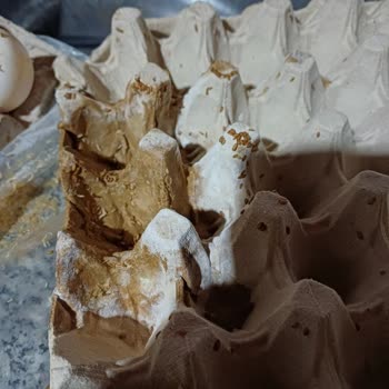 Carrefour Silifke'de Bozuk Yumurtalar Satışı Sağlık Tehlikesi