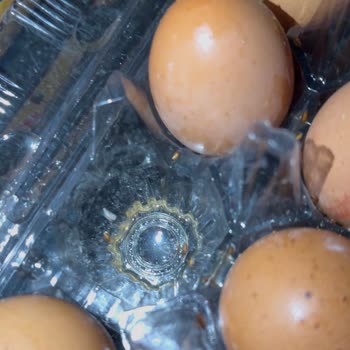 Kahverengi Yumurta Kabının Kurtlanması Sağlık Ve Hijyen Endişesi