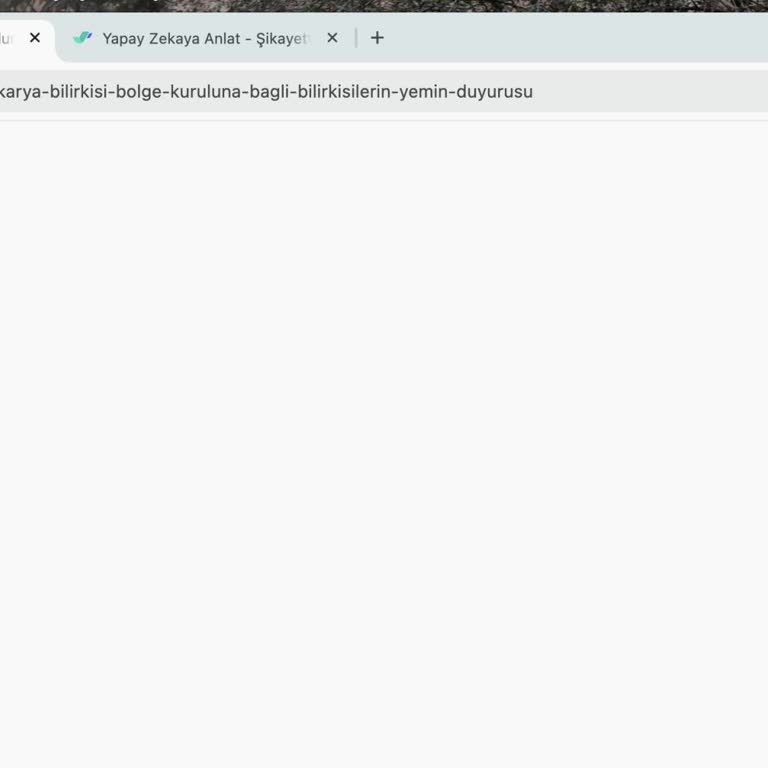 Kocaeli Adliyesi Web Sayfasında Sakarya Bilirkişi Duyurusu Açılmıyor