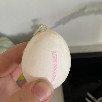 BİM Markette Kırık Yumurtalar Ve Kalite Kontrol Zafiyeti Nedeniyle Maddi Kayıp