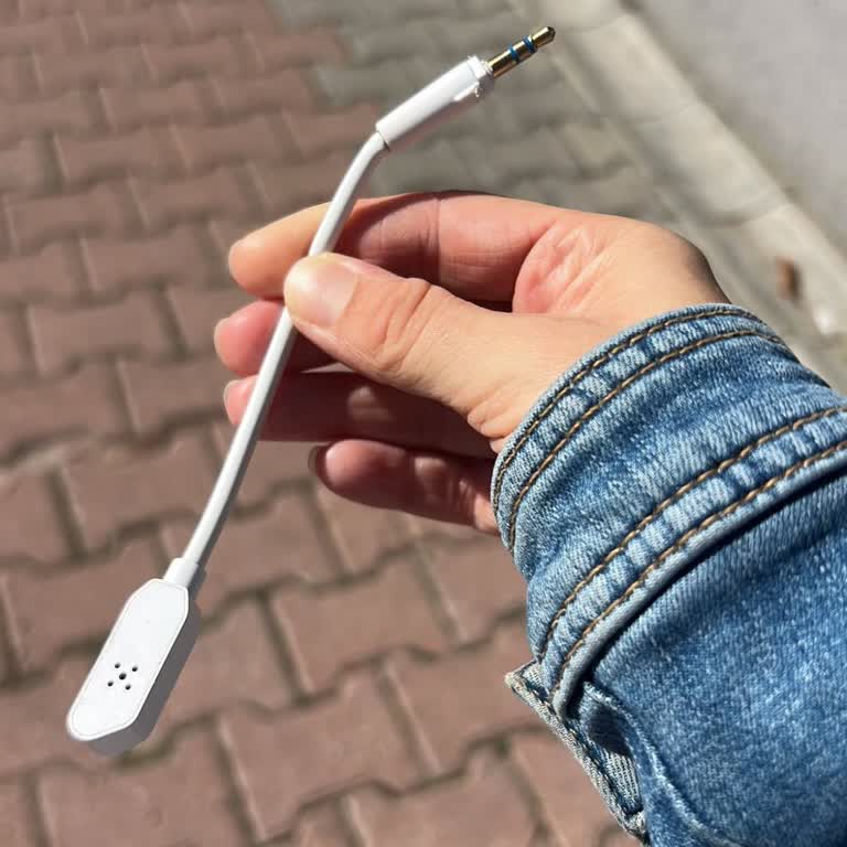 Mikrofon Çalışmıyor, Yeni Model Değişim Talebi