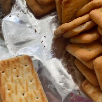 Marmaris Migros’ta Ülker Çizi Krakerde Ölü Karınca Ve Sağlık Riski