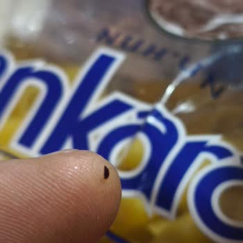 Paketten Çıkan Ölü Böcek, Nuh’un Makarna’da Hijyen Krizi