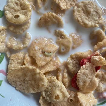 Kellogg’s Kırmızı Meyveler Mısır Gevreğinde Cansız Kurt Bulundu