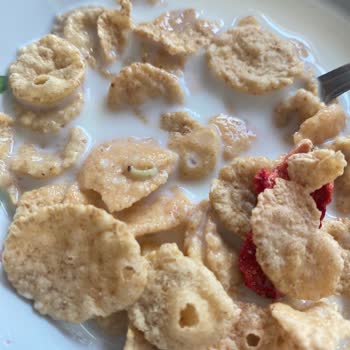 Kellogg’s Kırmızı Meyveler Mısır Gevreğinde Cansız Kurt Bulundu