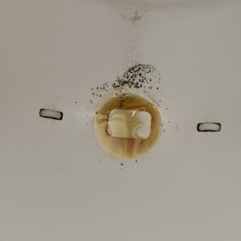 Kiwi Kedi Tuvaleti Arızalı, Servis Çözümü Yetersiz Ve Değişim Talebi