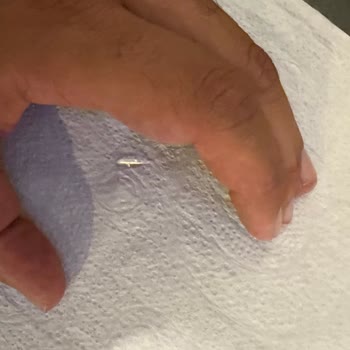 Mado’da Profiterol Pastada Sert Plastik Parça Çocukta Korku Yaratıyor