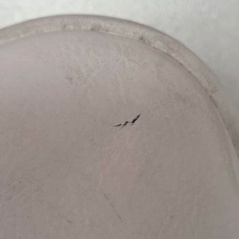 Puma Ayakkabısında Deri Çatlaması Ve Değişim Talebi