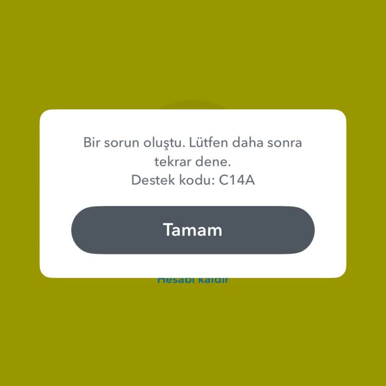 Snapchat Girişinde C14A Hatası 30 Dakikadır Çözülmüyor