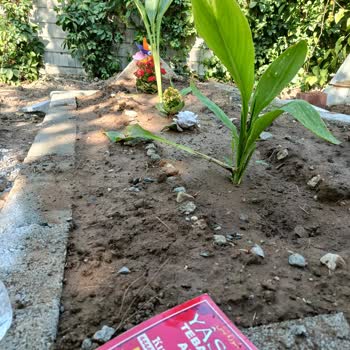 Anten Kesintisi Nedeniyle Çatıda Düşen Eşimin Ölümü