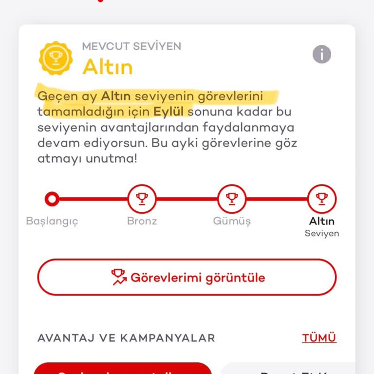 Vaat Edilen 3.000 TL Chip-Para Neden Hesaba Yansımıyor?