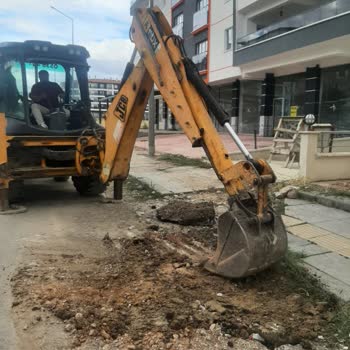 Kırılan Yağmur Suyu Hattı Onarılmadı, Binada Fare İstilası