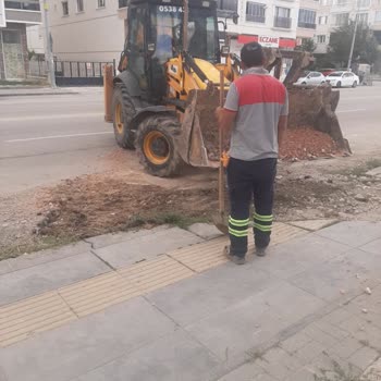 Kırılan Yağmur Suyu Hattı Onarılmadı, Binada Fare İstilası