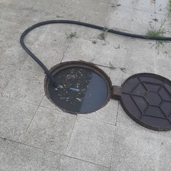 Kırılan Yağmur Suyu Hattı Onarılmadı, Binada Fare İstilası