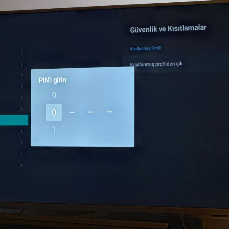 Philips Hue TV Kısıtlı Profil Çıkamama Ve Belirlenmemiş Pin Sorunu