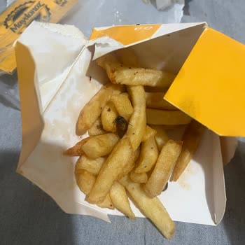 Maydonoz Döner İzmit Patates Kızartmasından Sinek Çıktı Hijyen İhlali Ve İade Talebi