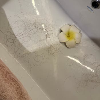 Dyson Airsmooth Saç Kopması Ve İade Talebi