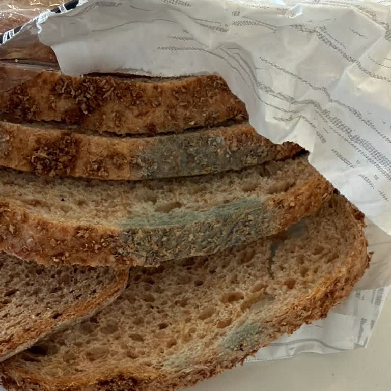 Küflü Ekmek Teslimatı Ve İade Talebine Cevap Alınamaması