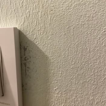 Bauhaus'tan Aldığım Silinebilir Boya Katmanı Anında Söküldü