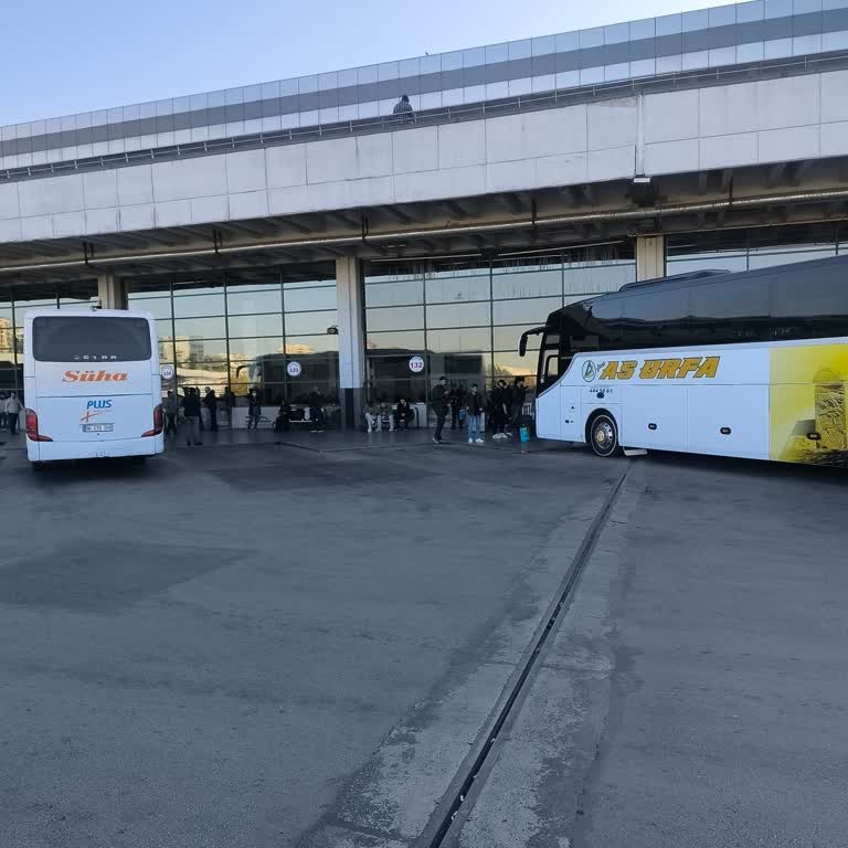 Bilgilendirme Yapılmadan Yarım Saatlik Ankara-Sakarya Otobüs Gecikmesi