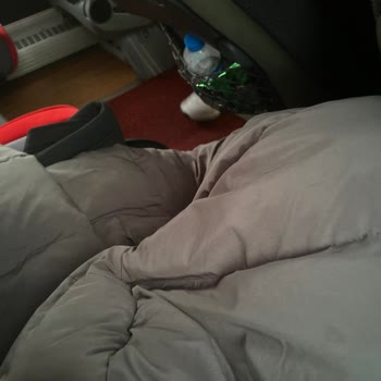 Ücretine Uygun Olmayan Çiftli Koltuk, Donuk Klima Ve İkram Eksikliği