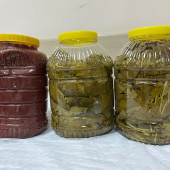 Eksik Yaprak Ve Şüpheli Salça, Cevapsız İletişim Nedeniyle İade Talebi