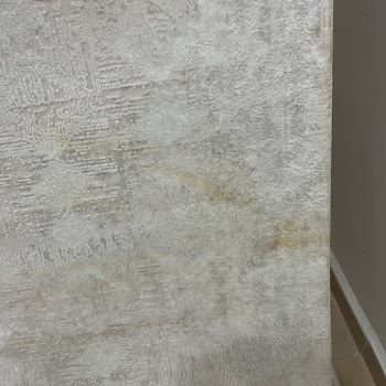 Bursa Odes Halı Ve Koltuk Yıkama Kullanılan Yanlış Temizlik Maddesi Ve Özensiz İşlem