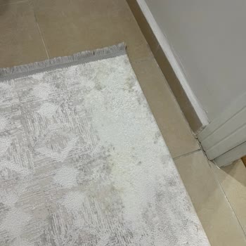 Bursa Odes Halı Ve Koltuk Yıkama Kullanılan Yanlış Temizlik Maddesi Ve Özensiz İşlem