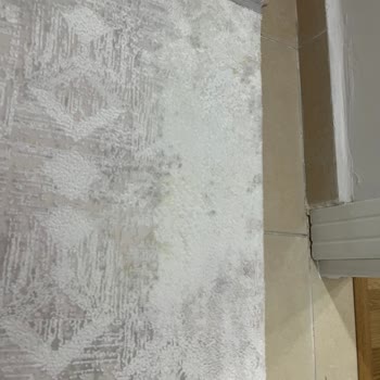 Bursa Odes Halı Ve Koltuk Yıkama Kullanılan Yanlış Temizlik Maddesi Ve Özensiz İşlem