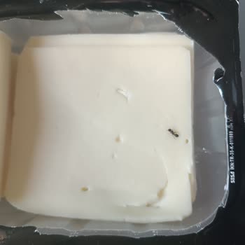 Altınkılıç Dilimli Tost Peynirinde Karınca Tespit Edildi