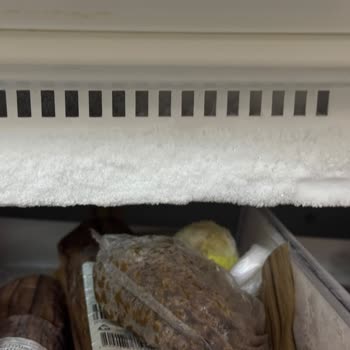 Bosch XXL Buzdolabımın Tekrarlayan Arızaları Ve 20.000 TL’lik Gıda Kayıpları