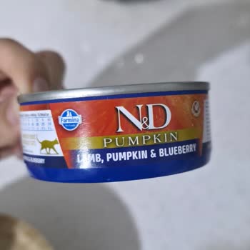 Farmina N&D Kedi Mamasında Keskin Kemik Parçası Ve Yanıtsız Şikayet