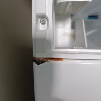 Bosch Çamaşır Makinesinin Kısa Sürede Paslanması Ve Deterjan Sistemindeki Arıza