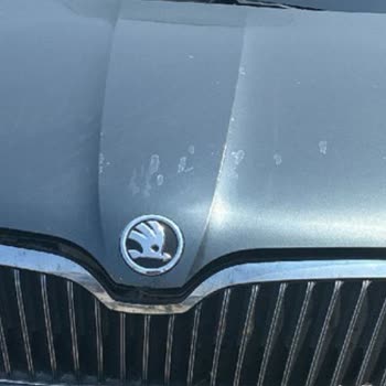 ALC Servisinde Kaput Vernik Atesi Ve Boya Çökmeleri Kabul Edilmedi