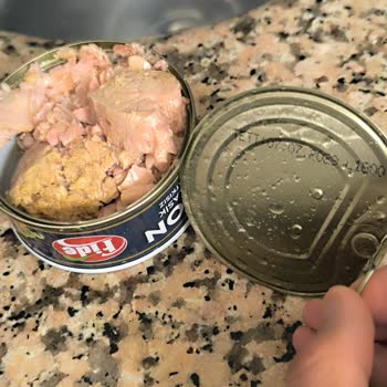 Rengi Bozuk Ton Balığı Konservesi Çocuğumun Sağlığını Tehdit Etti