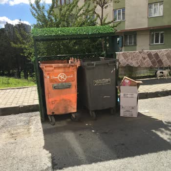 Sultangazi'de Ev Önlerine Bırakılan Çöp Kokusuna Karşı Acil Temizlik Talebi