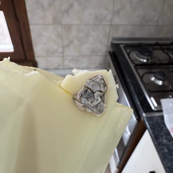 İçim Tam Yağlı Kaşarda Görülen Gri Oluşumun Güvenlik Açıklaması Talebi