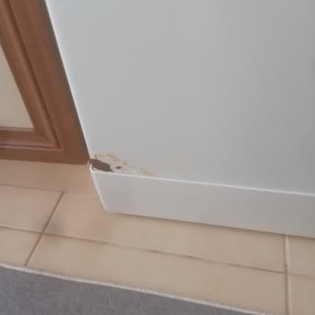Altus Ürünlerinde Çürüme Ve Garanti Dışı Servis Şikayeti