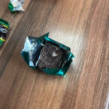 A101'den Alınan Balin Lord Bitter Çikolatalarında Kurtçuk Tespiti Ve Sağlık Riski