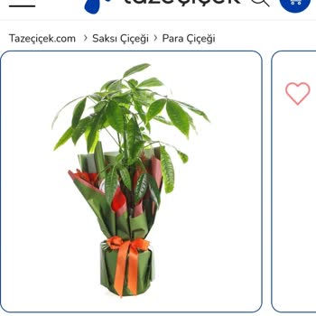 Taze Çiçek | Tazecicek.com Sitede Görüntülenen Çiçek Gerçek Ürünle Uyumsuz, İade Talebim Reddedildi