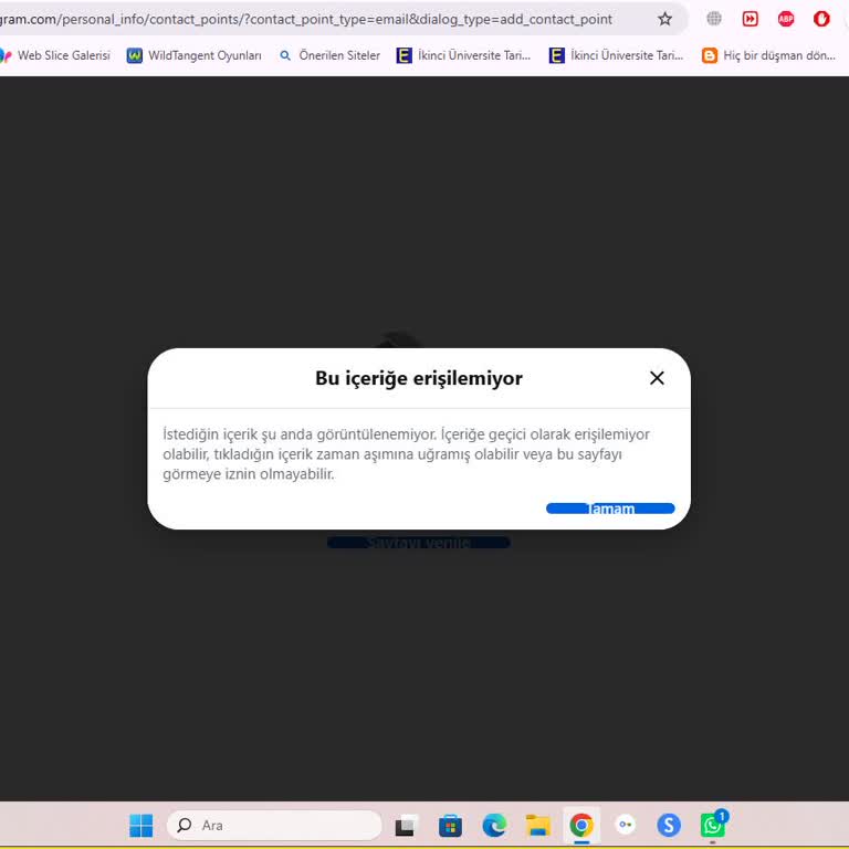Instagram Hesabına Girişte Sürekli Güvenlik Uyarısı Ve Akış Yenilenemedi Hatası