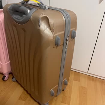 Pegasus'tan Bagaj Hasarı İçin Söz Verilen 60 Euro Ödemesinin Gecikmesi
