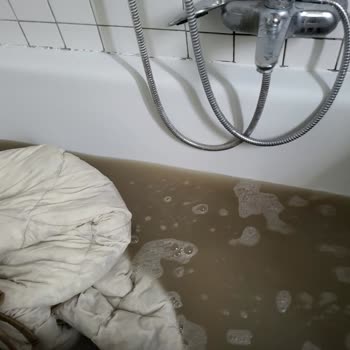 Kirli Ve Yanlış Ürün, Eksik Kılıflar Ve Cevapsız Müşteri Hizmeti