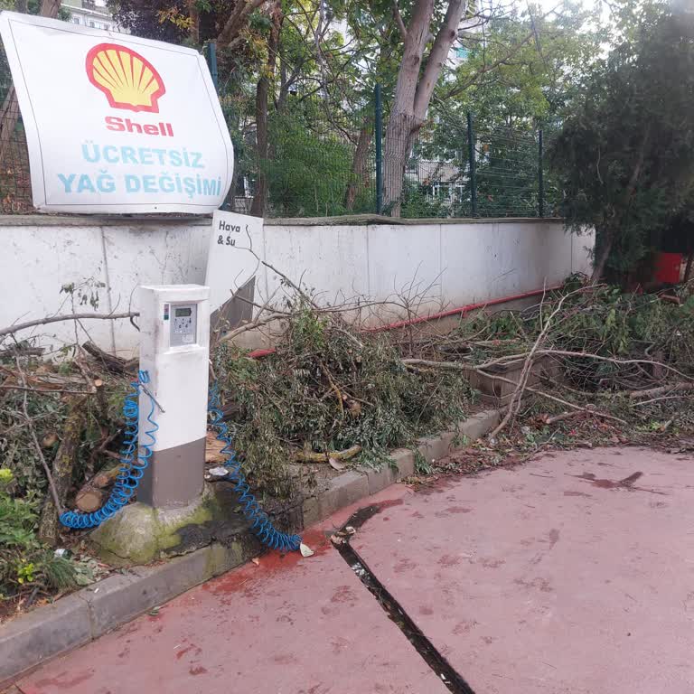 Shell Akaryakıt İstasyonunda Bırakılan Ağaç Atıkları Ve Temizlik Sorunu