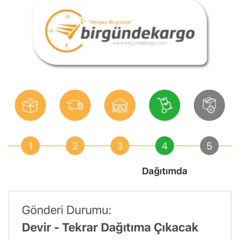 A101'ten Ekstra Saat Siparişinde Kargo Gecikmesi Ve Teslim Edilmemesi