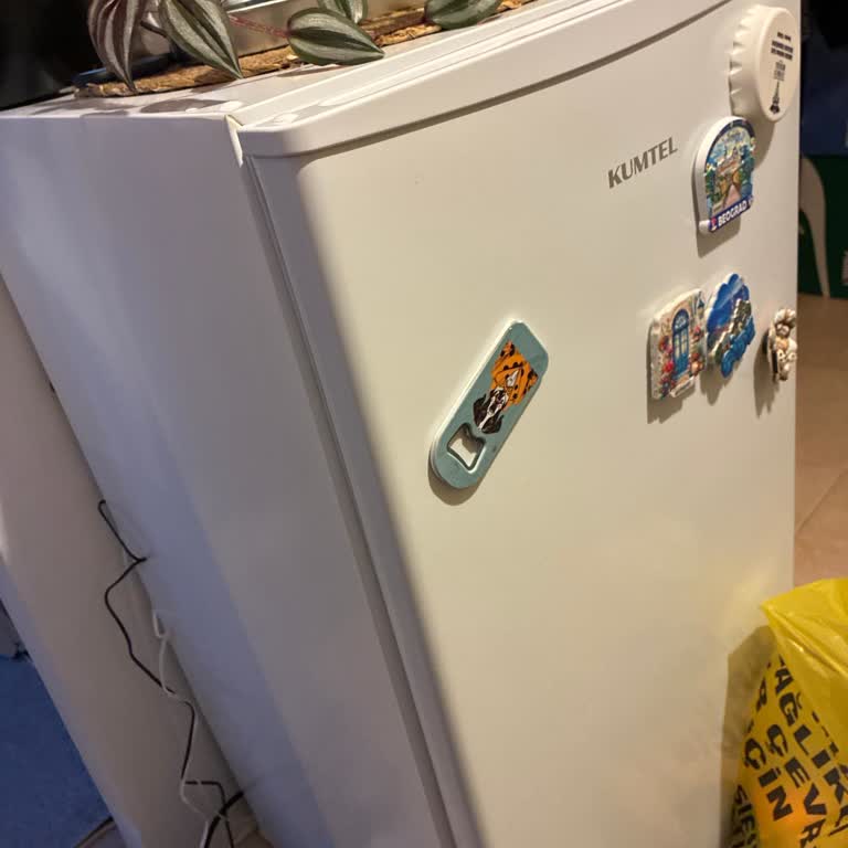 Kumtel Mini Buzdolabının Buzluk Arızası Ve Servis Gecikmesi