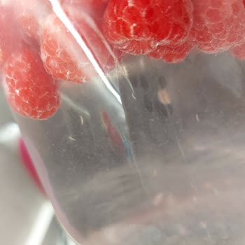 File Market Şubesinden Satın Alınan Böğürtlenlerde Canlı Larva Ve Kurt Tespit Edildi